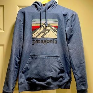 Patagonia Hoodie